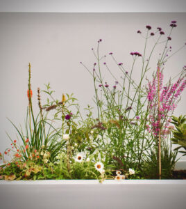 wilde bloemen in de tuin met witte muren en witte plantenbak.